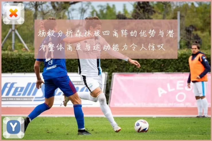 杨毅分析森林狼四高阵的优势与潜力整体高度与运动能力令人惊叹